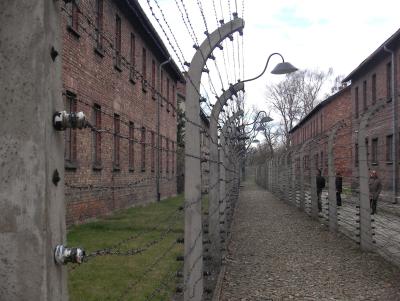 Pigtråd, torturceller og gaskamre er blandt de ting som trækker mange turister til Auschwitz hvert år