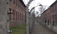 Pigtråd, torturceller og gaskamre er blandt de ting som trækker mange turister til Auschwitz hvert år