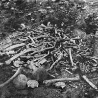 Knogler fra massakren i Erzinjan.